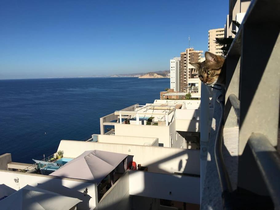 Piso En La Primera Linea Del Mar Con 2 Dormitorios 베니돔 외부 사진