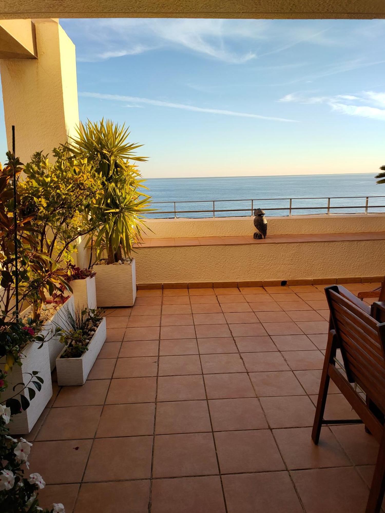 Piso En La Primera Linea Del Mar Con 2 Dormitorios 베니돔 외부 사진